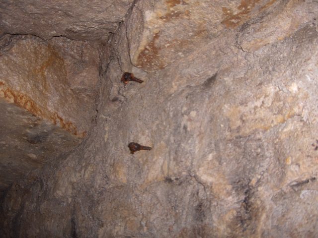 2005-11-16_015
