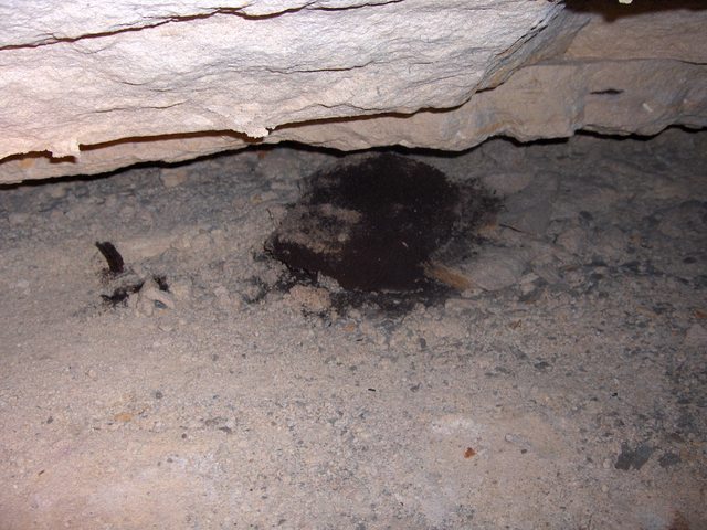 2005-11-16_025