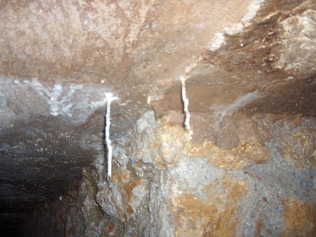 2005-11-16_072