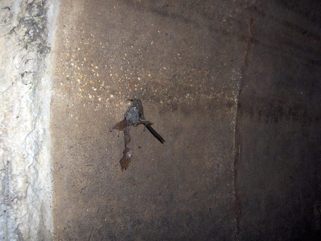 2005-10-02_18