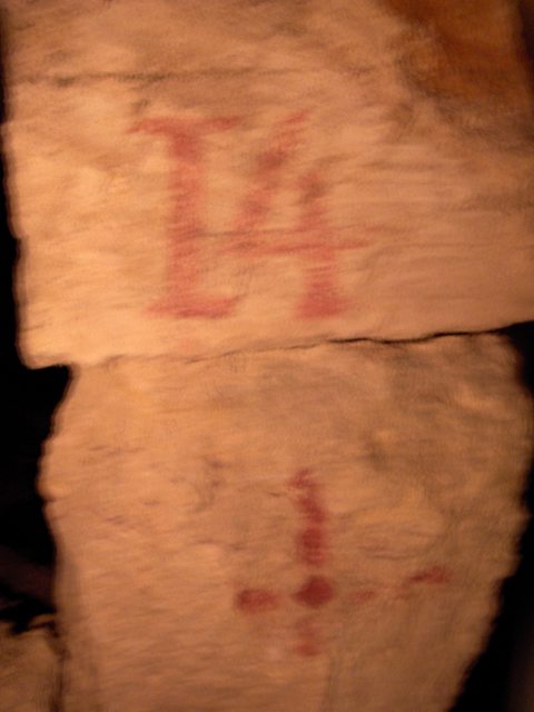 2005-01-29_09