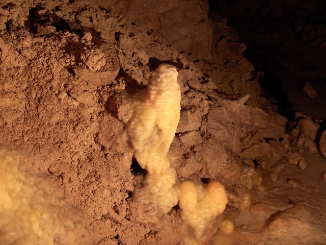 2005-01-29_15