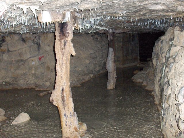 2006-05-06_63