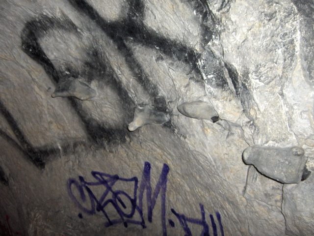 2006-01-26_26