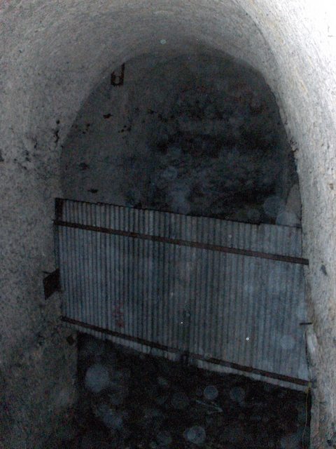 2006-11-24_023