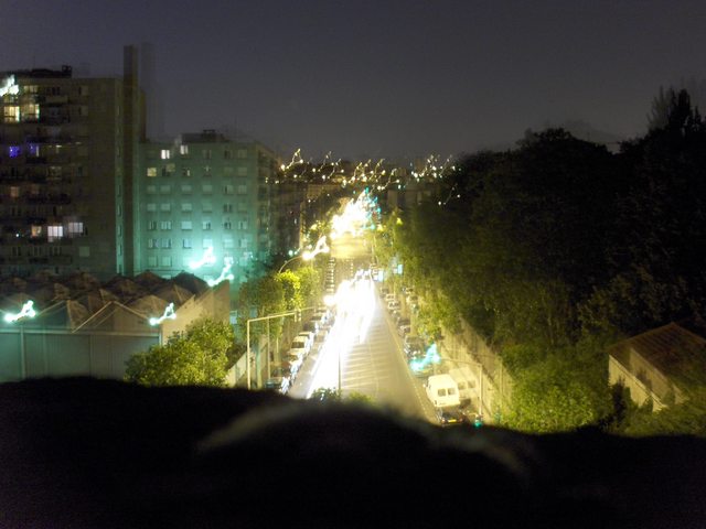 2006-06-23_084