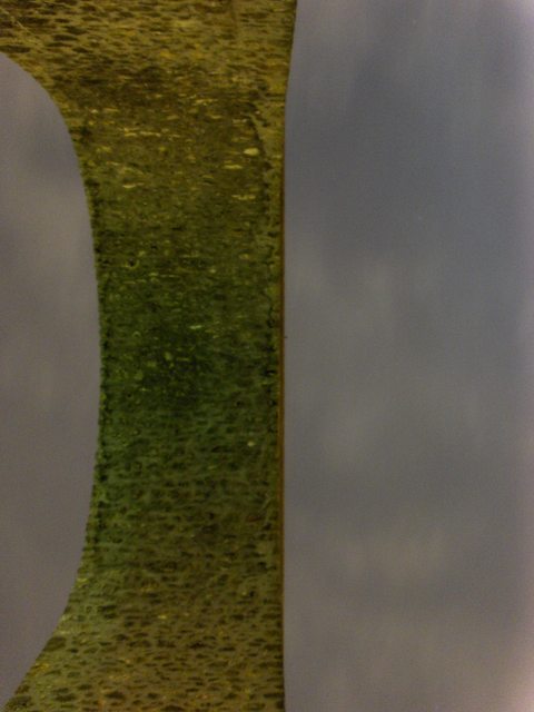 2006-12-29_069