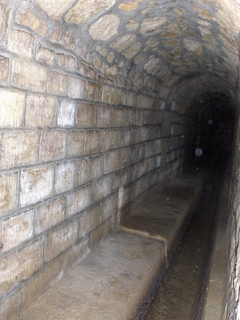 2007-02-03_069
