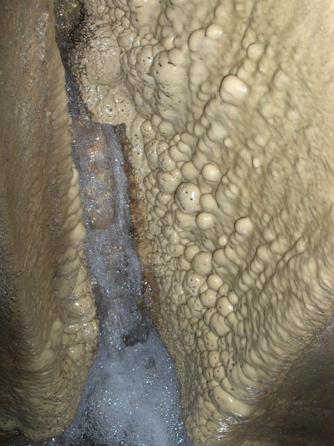 2007-02-03_176