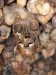 2007-02-16_64
