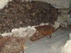 2007-02-16_71